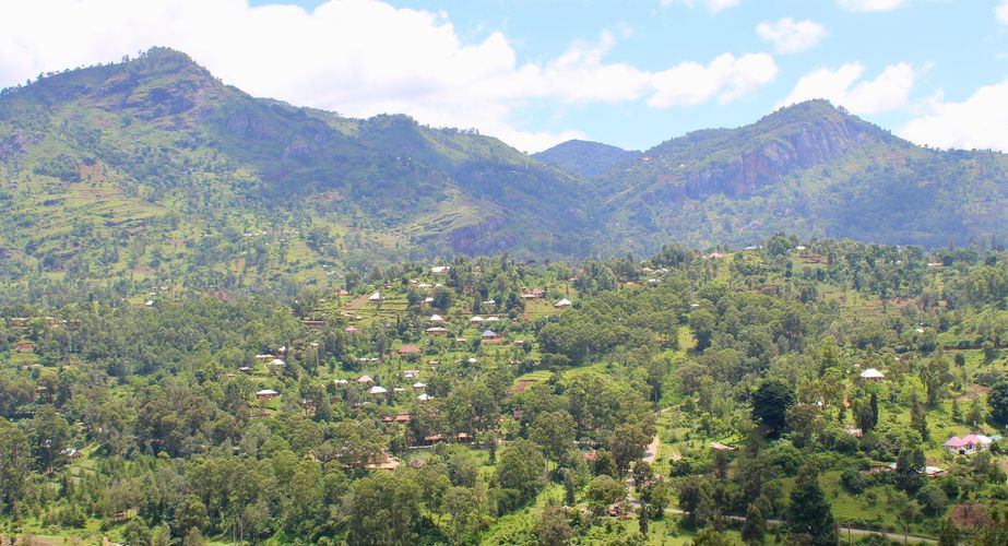 Usambara gebergte Tanzania